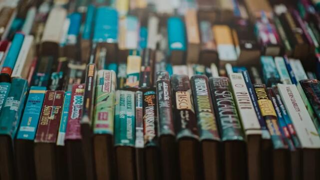 小说作家带你30天写小说，靠小说赚钱，真正实用培训营！