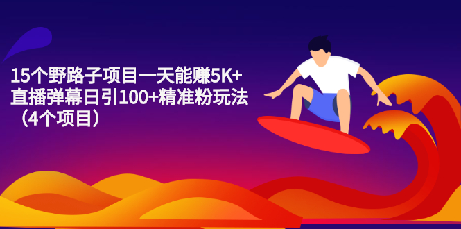 15个野路子项目一天能赚5K+直播弹幕日引100+精准粉玩法（4个项目）
