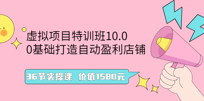 虚拟项目特训班10.0，0基础打造自动盈利店铺 36节实操课