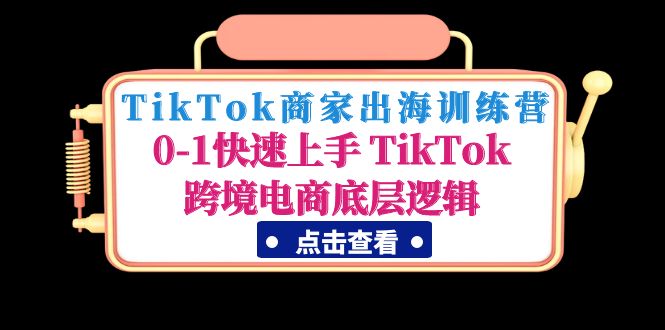 TikTok商家出海训练营:0-1快速上手 TikTok跨境电商底层逻辑(无中创水印)