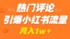热门评论引爆小红书流量，作品制作简单，广告接到手软，月入过万不是梦