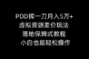 PDD挥一刀月入5万+，虚拟资源差价玩法，落地保姆式教程，小白也能轻松操作
