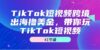 TikTok短视频跨境出海撸美金，带你玩TikTok短视频（41节课）