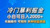 最新冷门蓝海项目，小白可轻松上手，一天十几分钟，日入2000+，可批量放大