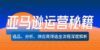 亚马逊运营秘籍：选品、分析、供应商筛选全流程深度解析（无水印）
