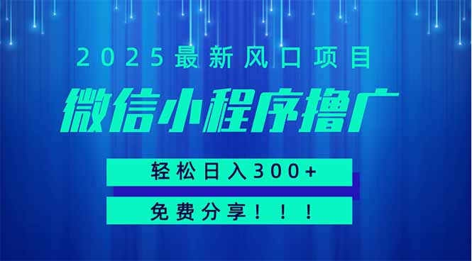 微信小程序撸广，最新风口项目，日入300+ 免费分享 可批量操作 小白可…