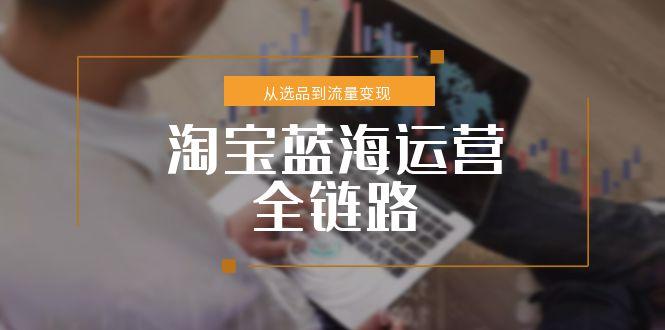 淘宝蓝海运营全链路,从选品到流量变现,小类目突围完整方案