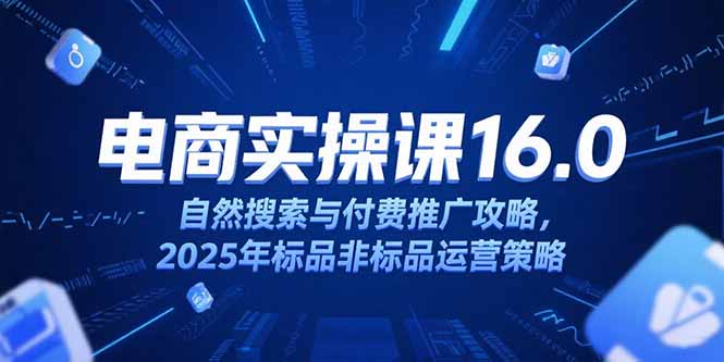 淘宝电商运营课16.0，自然搜索与付费推广攻略，2025年标品非标品运营策略