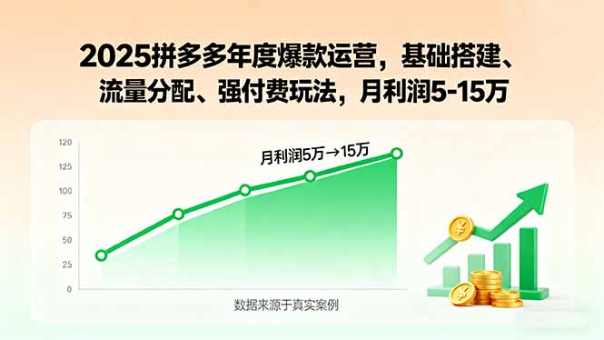 2025拼多多年度爆款运营,基础搭建、流量分配、强付费玩法,月利润5-15万