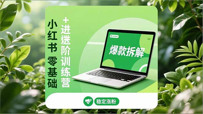 小红书零基础+高阶训练营:安全养号、爆款拆解、长效运营,实现稳定涨粉与变现