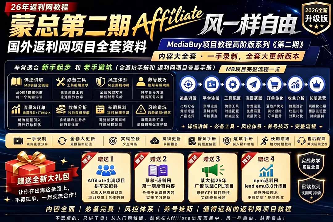 教程，深耕MediaBuy项目变现玩法，系统化进阶突破运营收益瓶颈