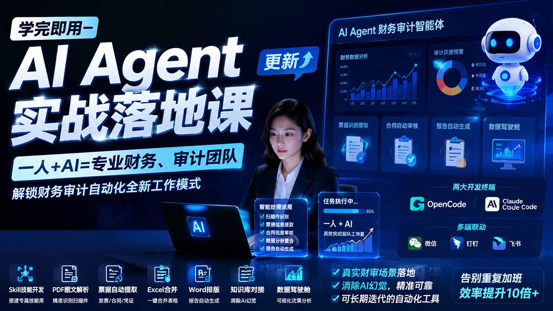 学完即用—AI Agent实战落地课-更新：一人+AI=专业财务、审计团队，解锁财务审计自动化全新工作模式