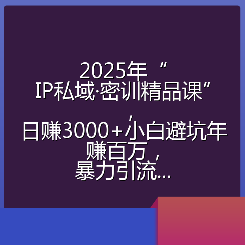 2025年“IP私域·密训精品课”，日赚3000+小白避坑年赚百万，暴力引流...