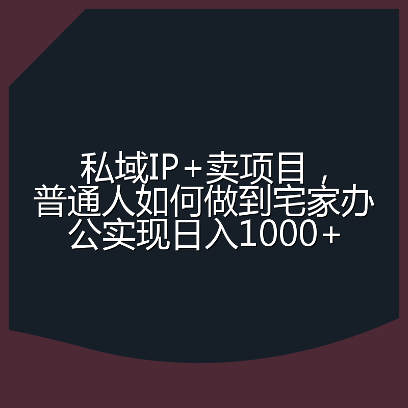 私域IP+卖项目，普通人如何做到宅家办公实现日入1000+