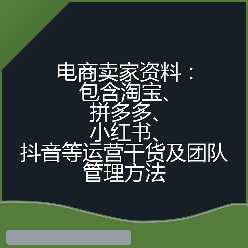 电商卖家资料:包含淘宝、拼多多、小红书、抖音等运营干货及团队管理方法