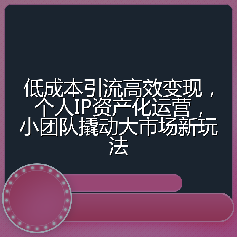 低成本引流高效变现，个人IP资产化运营，小团队撬动大市场新玩法