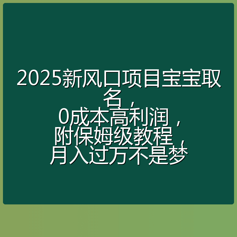 2025新风口项目宝宝取名，0成本高利润，附保姆级教程，月入过万不是梦