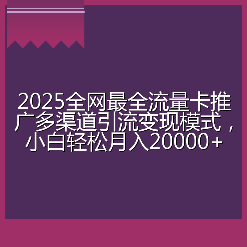 2025全网最全流量卡推广多渠道引流变现模式,小白轻松月入20000+