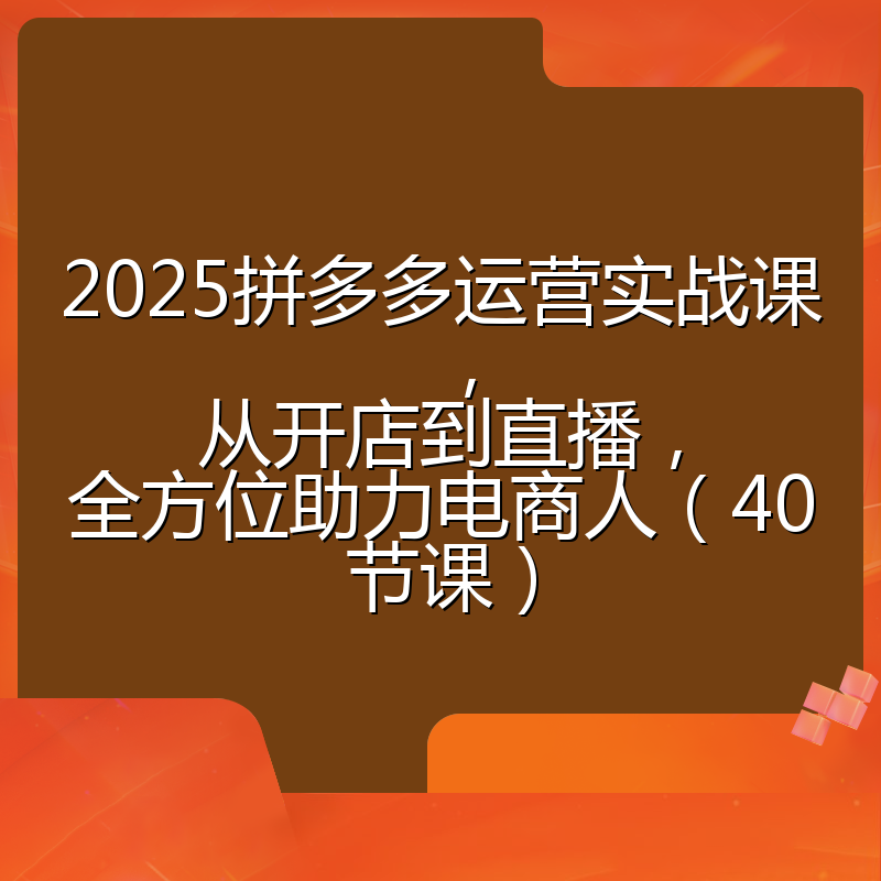 2025拼多多运营实战课,从开店到直播,全方位助力电商人(40节课)