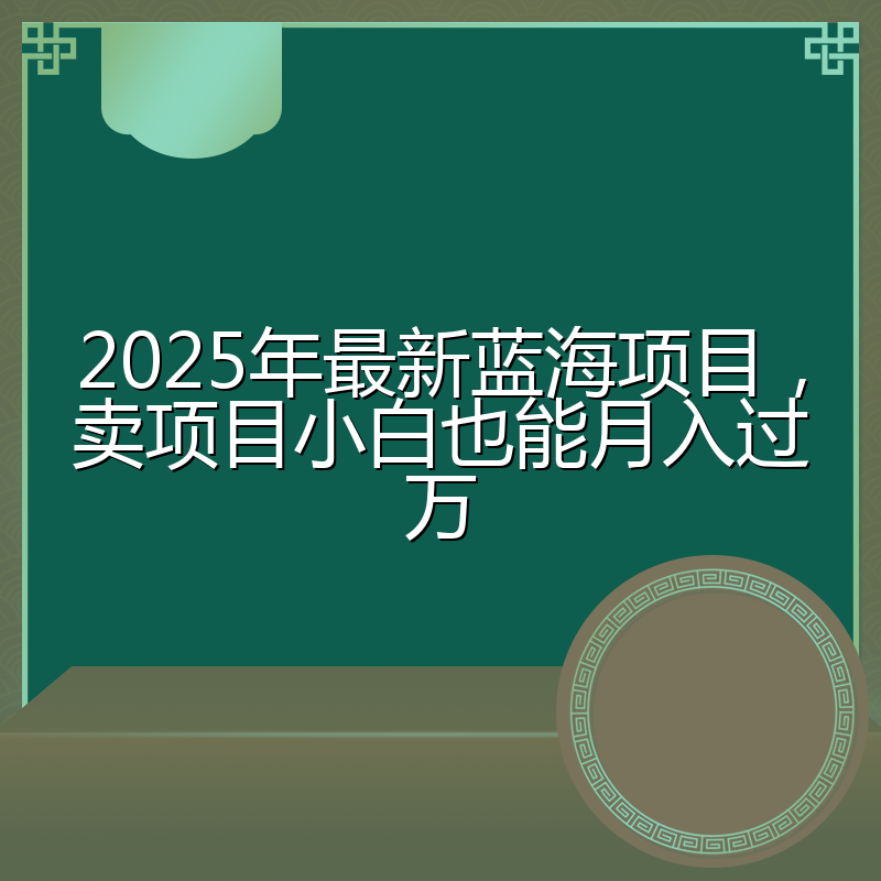 2025年最新蓝海项目,卖项目小白也能月入过万