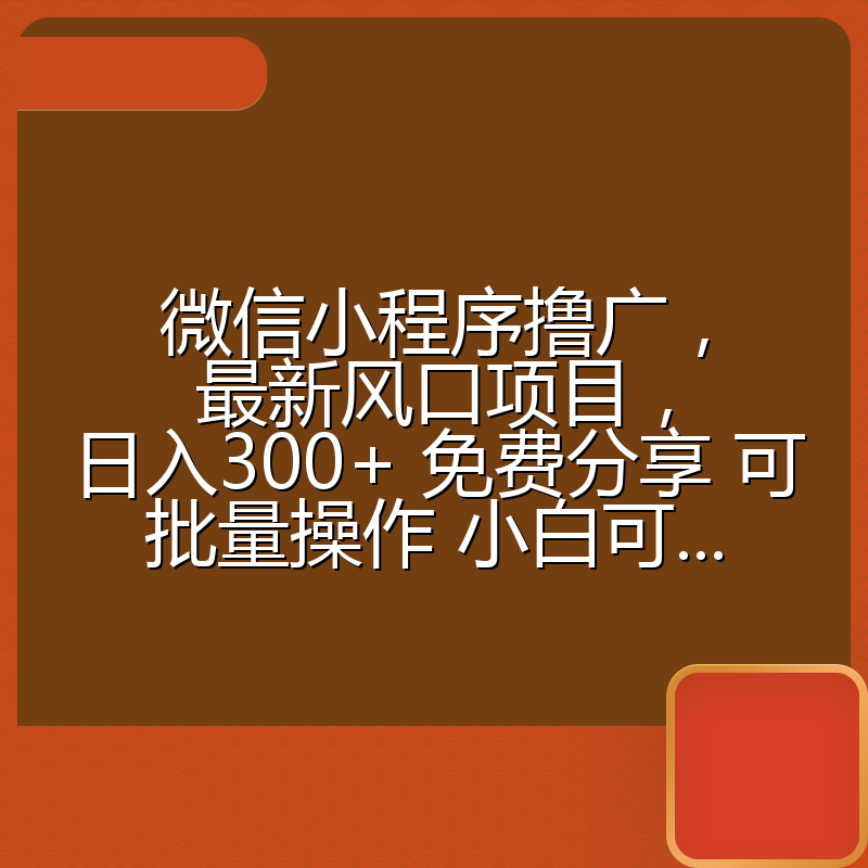 微信小程序撸广，最新风口项目，日入300+ 免费分享 可批量操作 小白可...