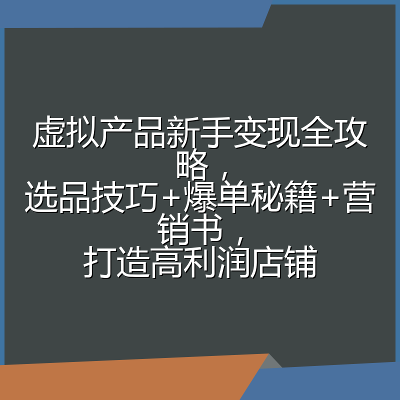 虚拟产品新手变现全攻略,选品技巧+爆单秘籍+营销书,打造高利润店铺