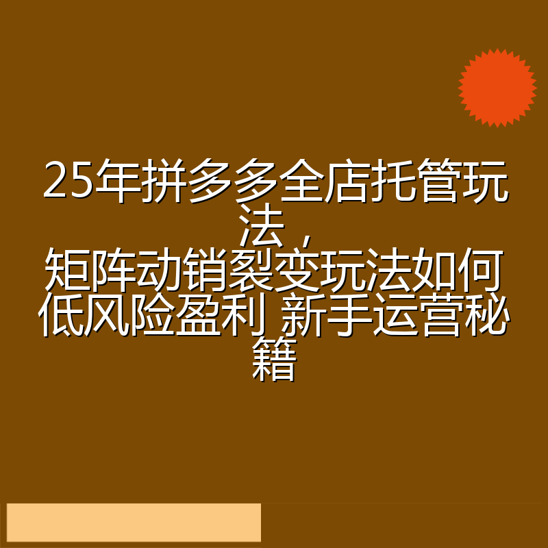 25年拼多多全店托管玩法，矩阵动销裂变玩法如何低风险盈利 新手运营秘籍