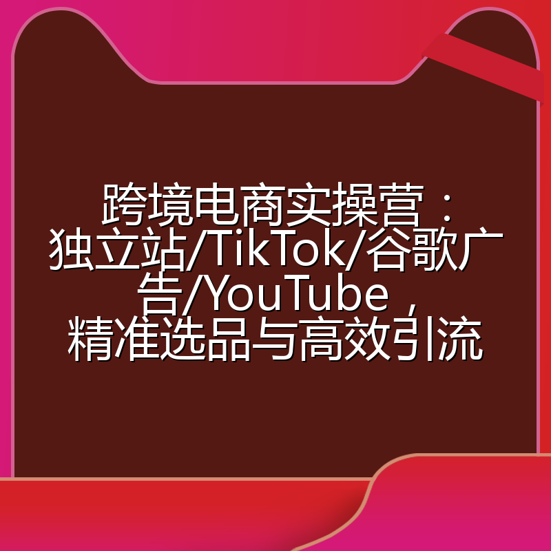 跨境电商实操营：独立站/TikTok/谷歌广告/YouTube，精准选品与高效引流