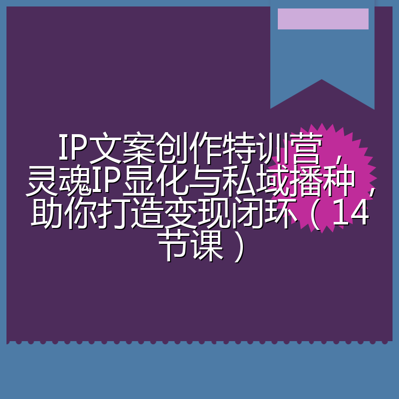 IP文案创作特训营,灵魂IP显化与私域播种,助你打造变现闭环(14节课)
