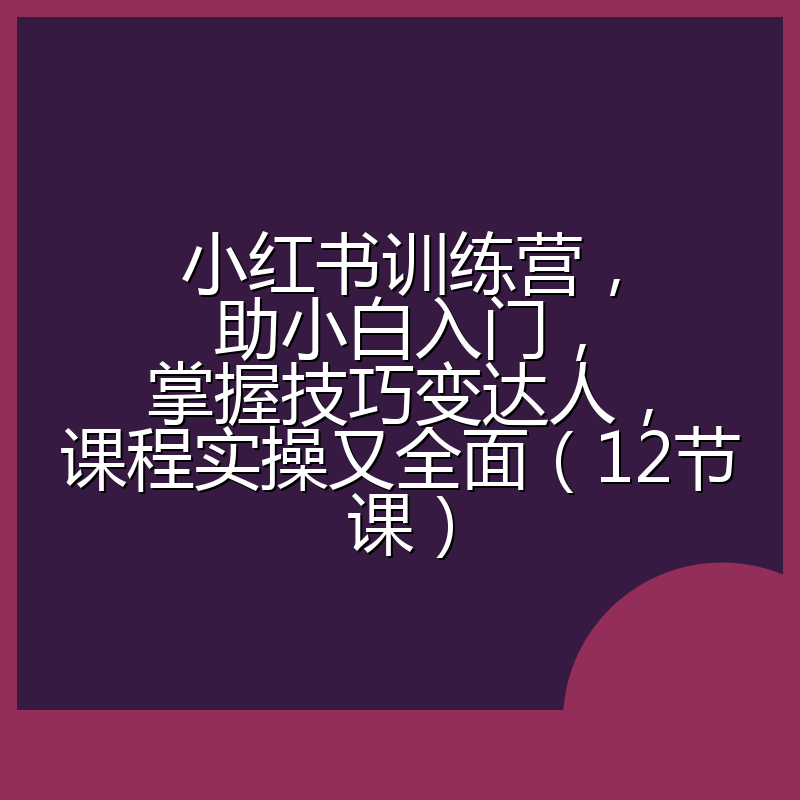 小红书训练营,助小白入门,掌握技巧变达人,课程实操又全面(12节课)