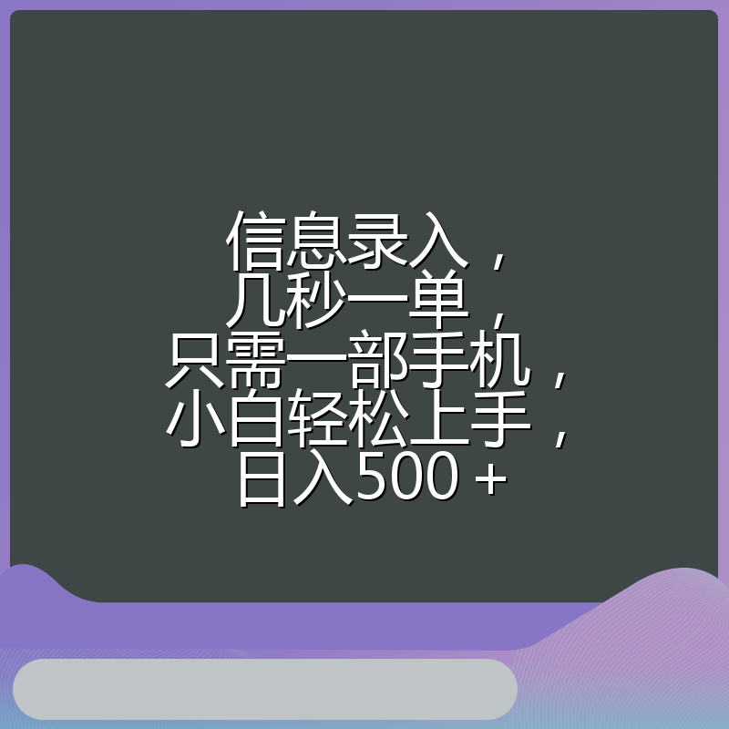 信息录入，几秒一单，只需一部手机，小白轻松上手，日入500＋