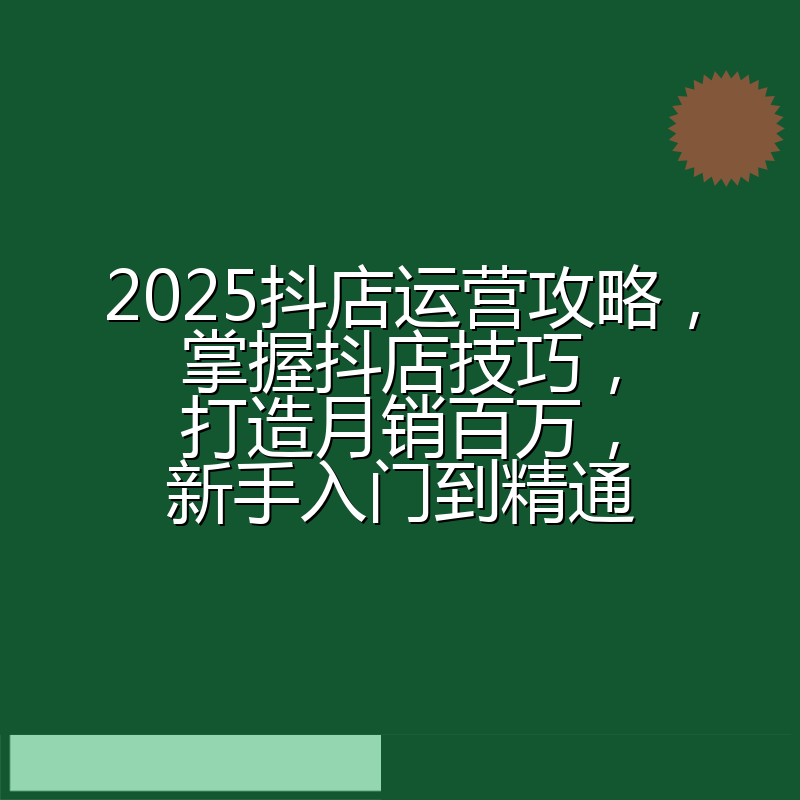 2025抖店运营攻略，掌握抖店技巧，打造月销百万，新手入门到精通