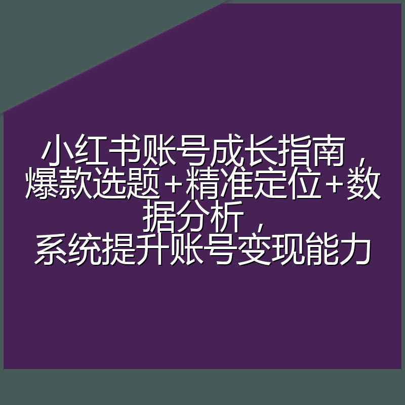 小红书账号成长指南,爆款选题+精准定位+数据分析,系统提升账号变现能力