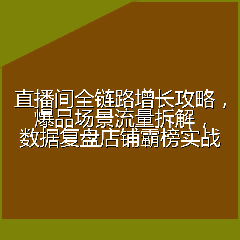 直播间全链路增长攻略,爆品场景流量拆解,数据复盘店铺霸榜实战