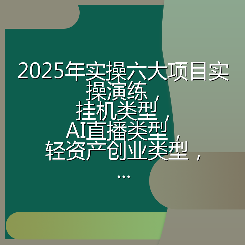 2025年实操六大项目实操演练，挂机类型，AI直播类型，轻资产创业类型，...