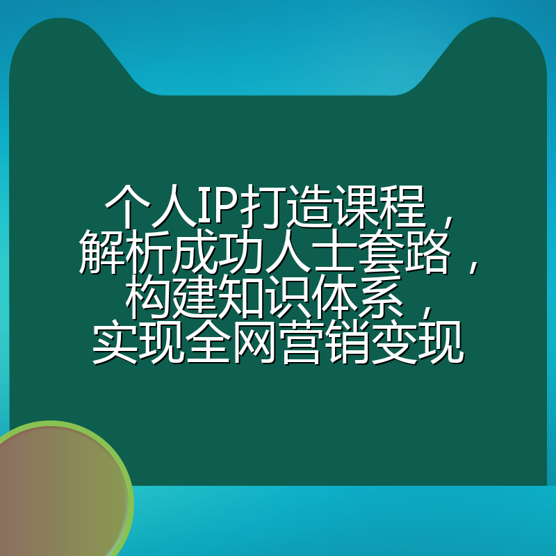 个人IP打造课程,解析成功人士套路,构建知识体系,实现全网营销变现