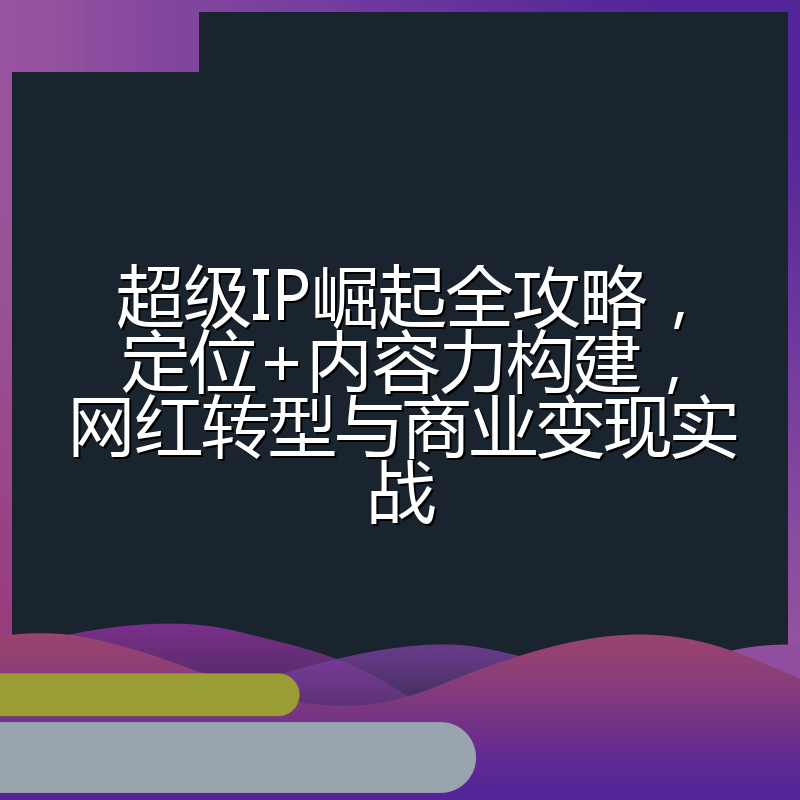 超级IP崛起全攻略,定位+内容力构建,网红转型与商业变现实战