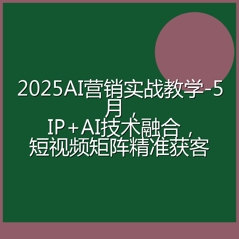 2025AI营销实战教学-5月,IP+AI技术融合,短视频矩阵精准获客