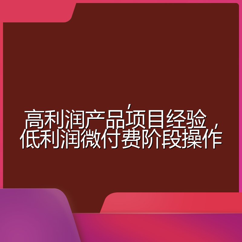 ,高利润产品项目经验,低利润微付费阶段操作
