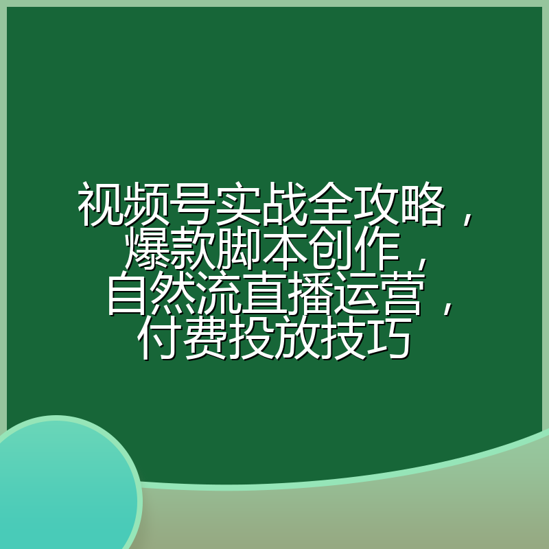 视频号实战全攻略,爆款脚本创作,自然流直播运营,付费投放技巧