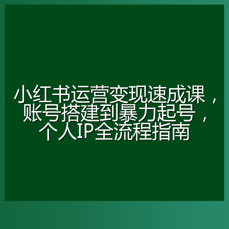 小红书运营变现速成课,账号搭建到暴力起号,个人IP全流程指南