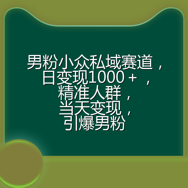 男粉小众私域赛道,日变现1000+,精准人群,当天变现,引爆男粉