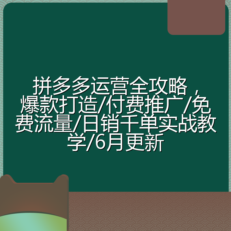 拼多多运营全攻略,爆款打造/付费推广/免费流量/日销千单实战教学/6月更新