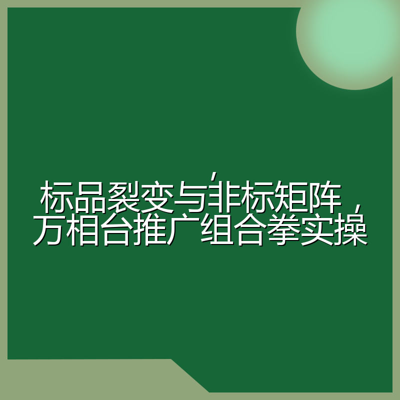 ，标品裂变与非标矩阵，万相台推广组合拳实操