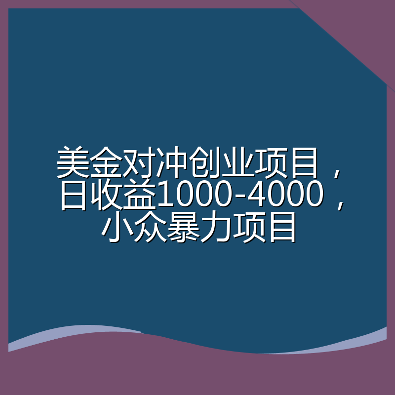 美金对冲创业项目，日收益1000-4000，小众暴力项目
