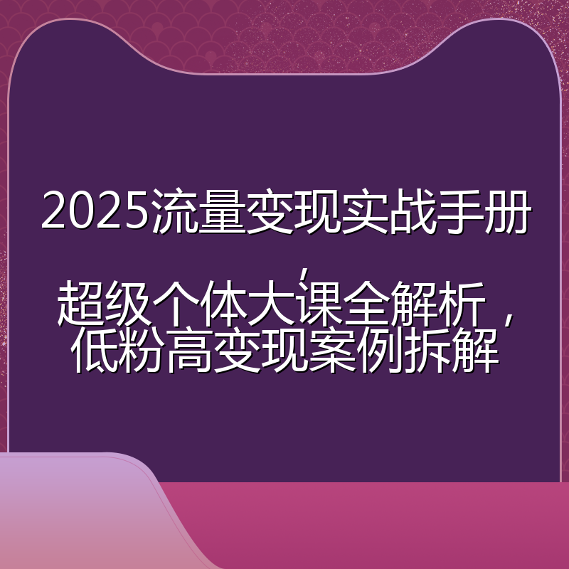2025流量变现实战手册，超级个体大课全解析，低粉高变现案例拆解