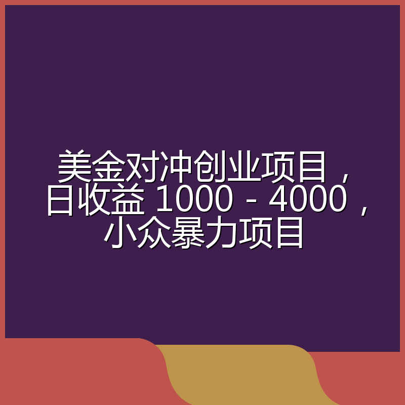美金对冲创业项目，日收益 1000 - 4000，小众暴力项目