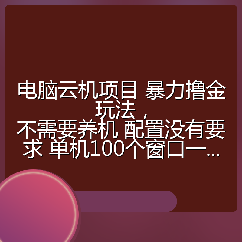 电脑云机项目 暴力撸金玩法，不需要养机 配置没有要求 单机100个窗口一...