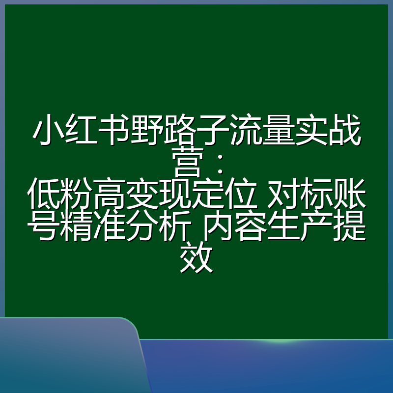 小红书野路子流量实战营:低粉高变现定位 对标账号精准分析 内容生产提效