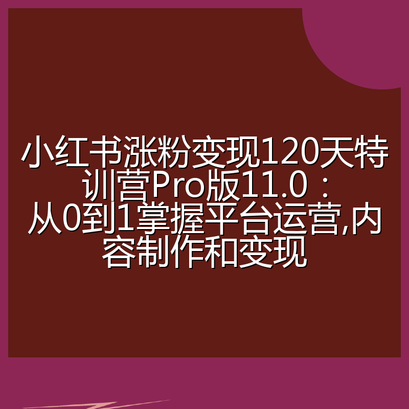 小红书涨粉变现120天特训营Pro版11.0：从0到1掌握平台运营,内容制作和变现